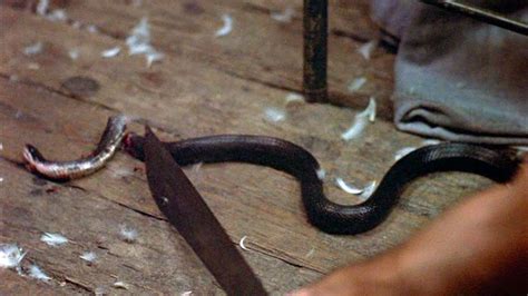 friday the 13th snake death